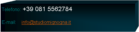 Casella di testo: Telefono: +39 081 5562784

E-mail:    info@studiomignogna.it 
