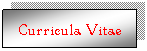 Casella di testo: Curricula Vitae

